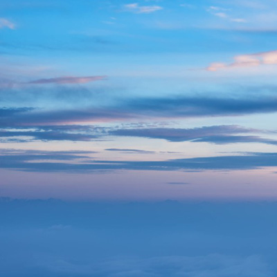 粉骨サービスとは